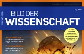 Bild der Wissenschaft