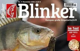 Blinker