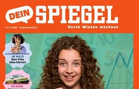 Dein Spiegel