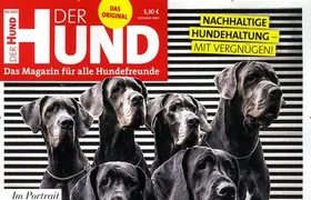 Der Hund