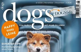 dogs