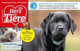 Ein Herz für Tiere Abo