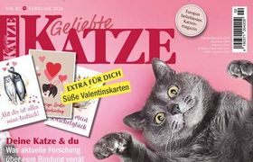 Geliebte Katze Abo