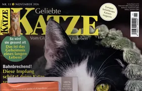 Geliebte Katze