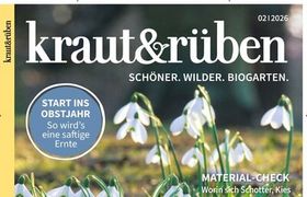 kraut & rüben Abo