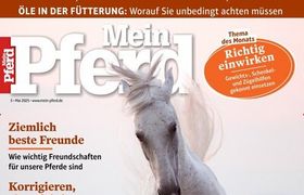 Mein Pferd Abo