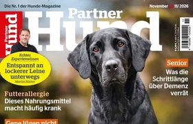 Partner Hund