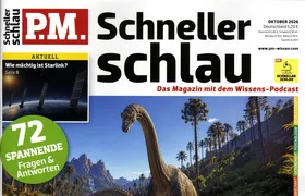 P.M. Schneller schlau