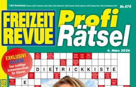 PROFI RÄTSEL