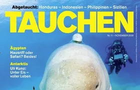 Tauchen