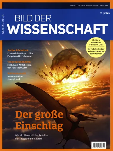 Bild der Wissenschaft Abo
