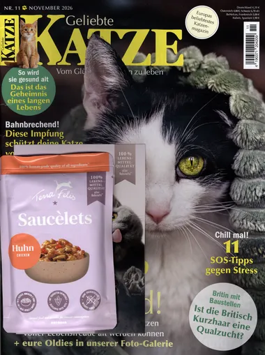 Geliebte Katze Abo