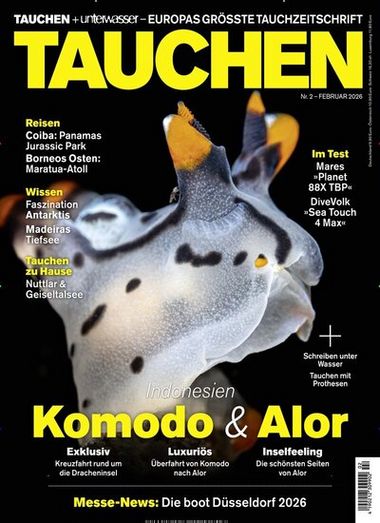 Tauchen Abo